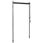 vidaXL Store roulant d'extérieur 100 x 270 cm Anthracite