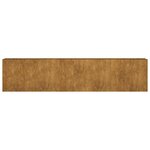 vidaXL Lit surélevé de jardin 360x40x80 cm acier corten