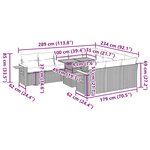 vidaXL Ensemble de canapés de jardin 11 Pièces et coussins rotin acacia