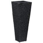 vidaXL Lits surélevés 3 Pièces Jacinthe d'eau Noir