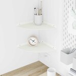 vidaXL Étagère flottante avec étagère 2 Pièces Blanc 24 x 24 x 2 cm