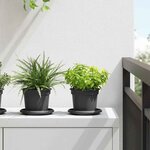 vidaXL Pots de plantes 6 Pièces Noir Ø 12 5 x 10 cm Plastique