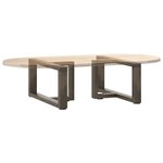 vidaXL Pieds de table basse en T  2 pièces  noir  60 x 25 x (30-31) cm  acier
