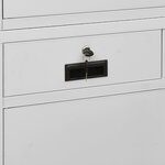 vidaXL Armoire de bureau Gris clair 90x40x180 cm Acier et verre trempé