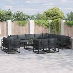 vidaXL Ensemble de canapé de jardin avec coussin 12 Pièces Noir Aluminium