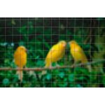 NATURE Maille carrée 1x2,50m