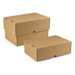 Caisse carton télescopique brune simple cannelure raja 25x15x8/14 cm (lot de 50)