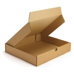 Boîte postale plate carton blanche avec fermeture adhésive raja 24x18x5 cm (lot de 50)