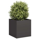 vidaXL Jardinière noir 40x40x40 cm acier laminé à froid