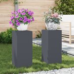 vidaXL Supports de Plantes Extérieurs Pilier 2 Pièces Anthracite 24x24x55 cm Acier