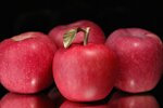 POMME 400g Pièce de cuivre 100 Francs CFA Cameroun 2025