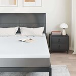 vidaXL Coussins de Matelas Blanc 160 x 200 cm