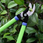 Coupe branche lame franche - Suan - En acier carbone - Dimensions : 62 x 21 5 cm