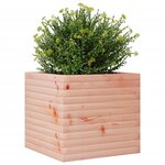 vidaXL Jardinière 50x50x45 5 cm bois massif de douglas