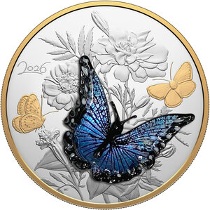 Monnaie BLUE BUTTERFLY Murano 1/2 Kg Kilo Argent 125$ Canada 2026
