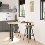 vidaXL Pieds de table de bar Anthracite 2 pièces 50 x (90-91) cm Acier