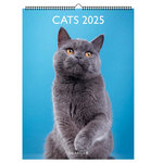 Calendrier Mural 2025 Décoration 29x39 Cm - Chats - Draeger paris