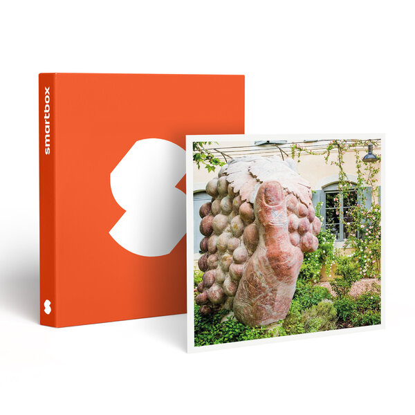 SMARTBOX - Coffret Cadeau Séjour en famille : 3 jours en suite dans un hôtel près de Carcassonne -  Séjour