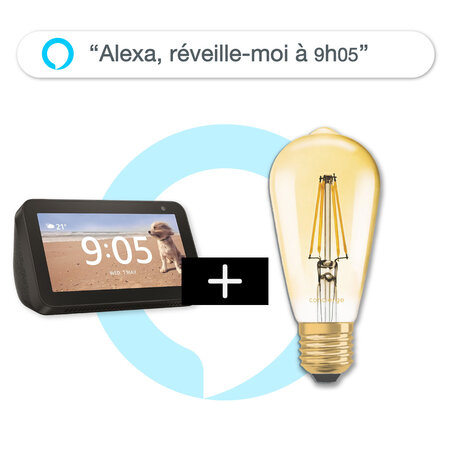 Pack "Alexa réveille-moi à 9h05" : Amazon Echo Show 5 + Ampoule vintage Wi-Fi PlugnSay 1874 Bulb