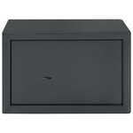 vidaXL Coffre-fort avec verrouillage Gris 20 x 31 x 20 cm Acier