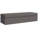 vidaXL Canapé-lit pliable 200 x 67 x 45 cm Gris clair