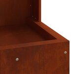 vidaXL Braise Marron 35 x 35 x 100 cm Acier