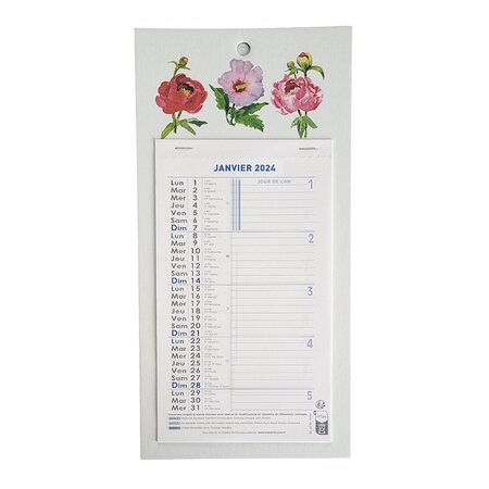 Exacompta - 33215E - Calendrier Mensuel Fleurs - 16 cm x 33 cm - Janvier  à les Prix d'Occasion ou Neuf