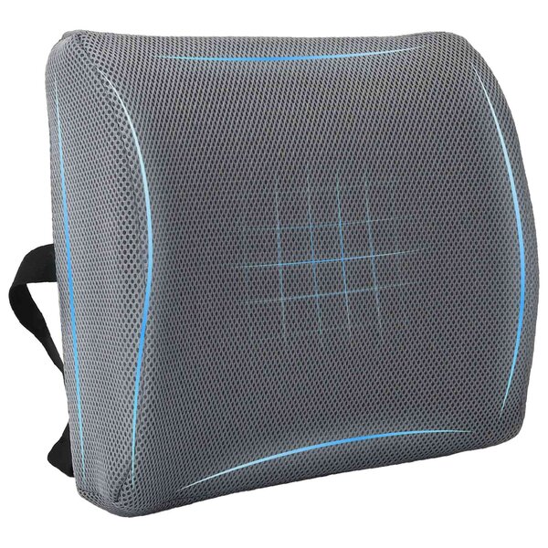vidaXL Coussin de Dos avec oreiller Gris 36 x 30 x 12 cm Avec filet