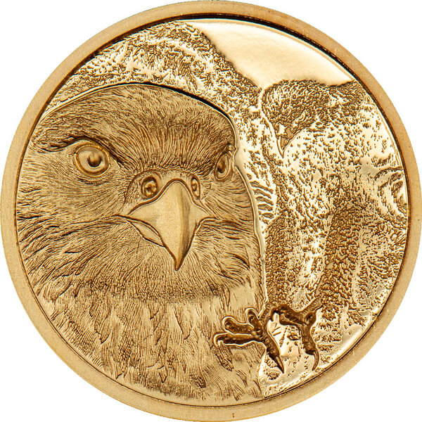 Pièce de monnaie en or g 3.11 (1/10 oz) millésime 2023 wild mongolia falcon