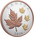 Pièce de monnaie en Argent 50 Dollars g 155.5 (5 oz) Millésime 2026 MAPLE LEAVES IN MOTION