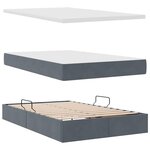 vidaXL Lit avec rangement et LED Gris foncé 120 x 200 cm Velours
