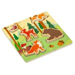 Amis des Animaux - la Forêt   GRIP.