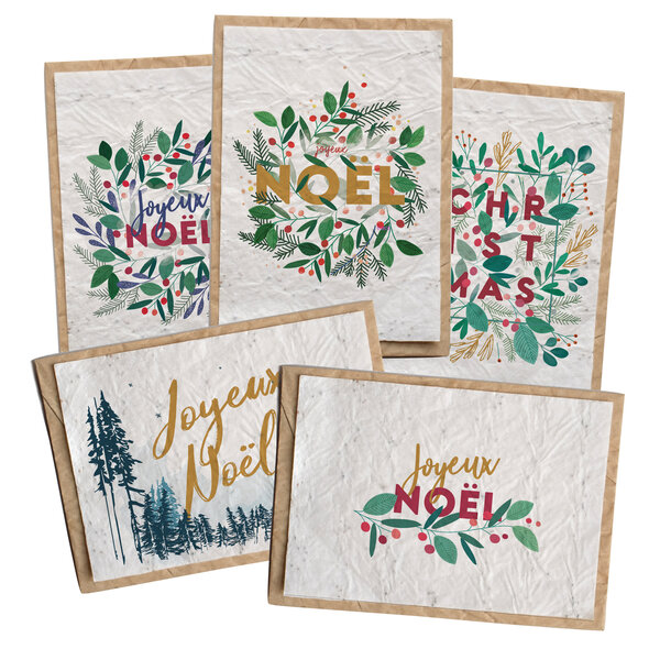 Lot de 5 cartes de Noël  ensemencées avec enveloppes