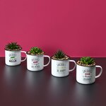 Mugs avec plantes artificielles jacques a dit (lot de 4)