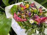 SMARTBOX - Coffret Cadeau Cours de cuisine végétarienne à base de plantes sauvages sur les bords du lac d’Annecy -  Gastronomie