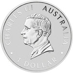Monnaie KOALA Brisbane ANDA Expo Special Edition 1 Oz Argent 1$ Australia 2026