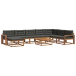 vidaXL Ensemble de canapés d'extérieur 9 Pièces Naturel et Anthracite