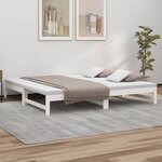 vidaXL Lit coulissant Blanc 2x(100x200) cm Bois de pin massif