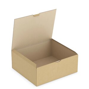 Boîte carton brune d'expédition rajapost 33x30x13 cm (lot de 50)