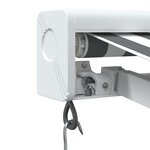 vidaXL Auvent rétractable anthracite et blanc 5x3 m tissu et aluminium