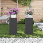 vidaXL Supports de Plantes Outdoor Colonne 2 Pièces Noir 24x24x55 cm Acier
