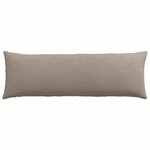 vidaXL Coussins de canapé 2 Pièces Taupe 120 x 40 cm tissu