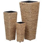vidaXL Lits surélevés 3 Pièces Jacinthe d'eau Marron