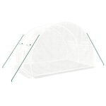 vidaXL Serre avec cadre en acier blanc 6 m² 3x2x2 m