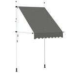 vidaXL Auvent manuel rétractable 150 cm Anthracite