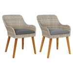vidaXL Chaise de jardin 2 Pièces Gris clair 55 x 62 5 x 82 cm polyrotin