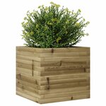 vidaXL Jardinière 50x50x45 5 cm bois de pin imprégné