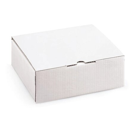 Boîte postale carton blanche avec calage mousse raja 12 5x10x5 cm (lot de 50)