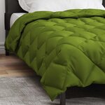 vidaXL Duvet d'hiver Vert 220 x 155 cm Microfibre