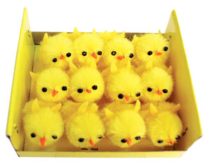 Poussins en chenille de soie 2 5 cm 12 pièces